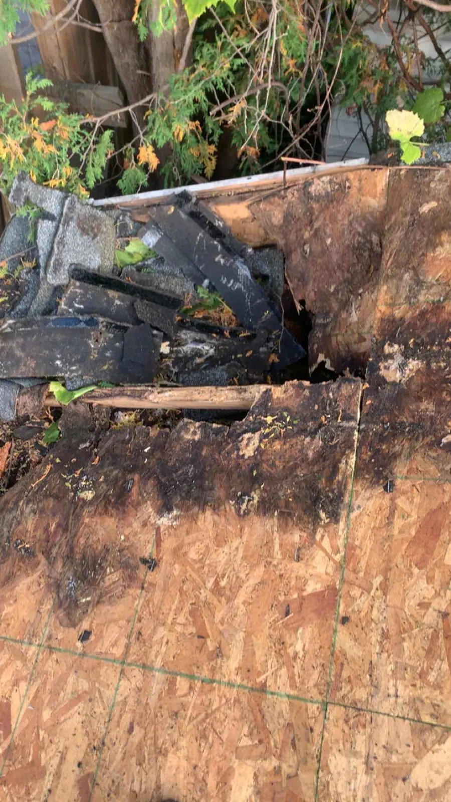 Arrachage du vieux revêtement — support de bois pourri mis à nu